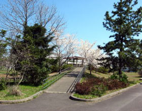 公式写真館に掲載された石川病院の屋外訓練場