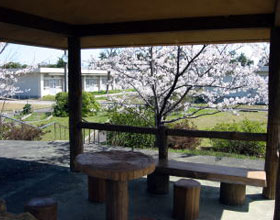 公式写真館に掲載された石川病院の屋外訓練場・休憩所