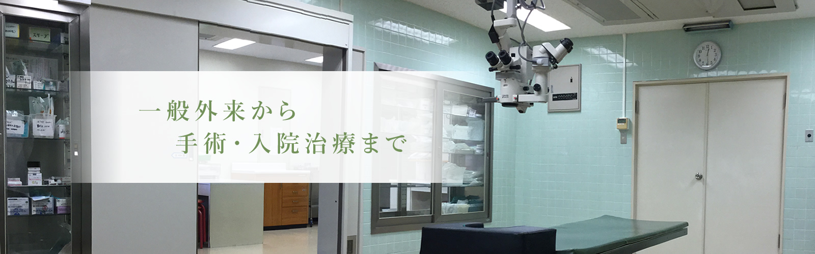 公式案内画像
