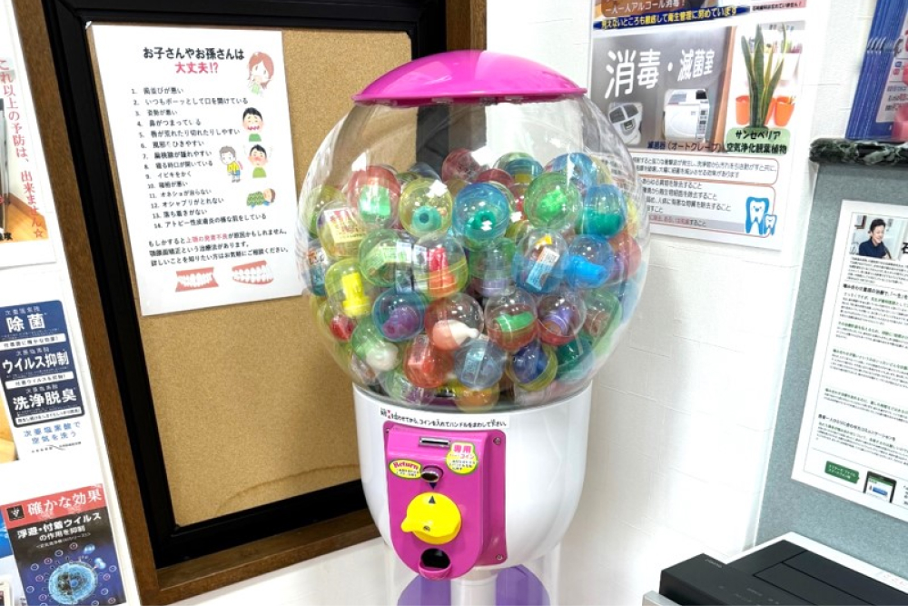 公式案内画像