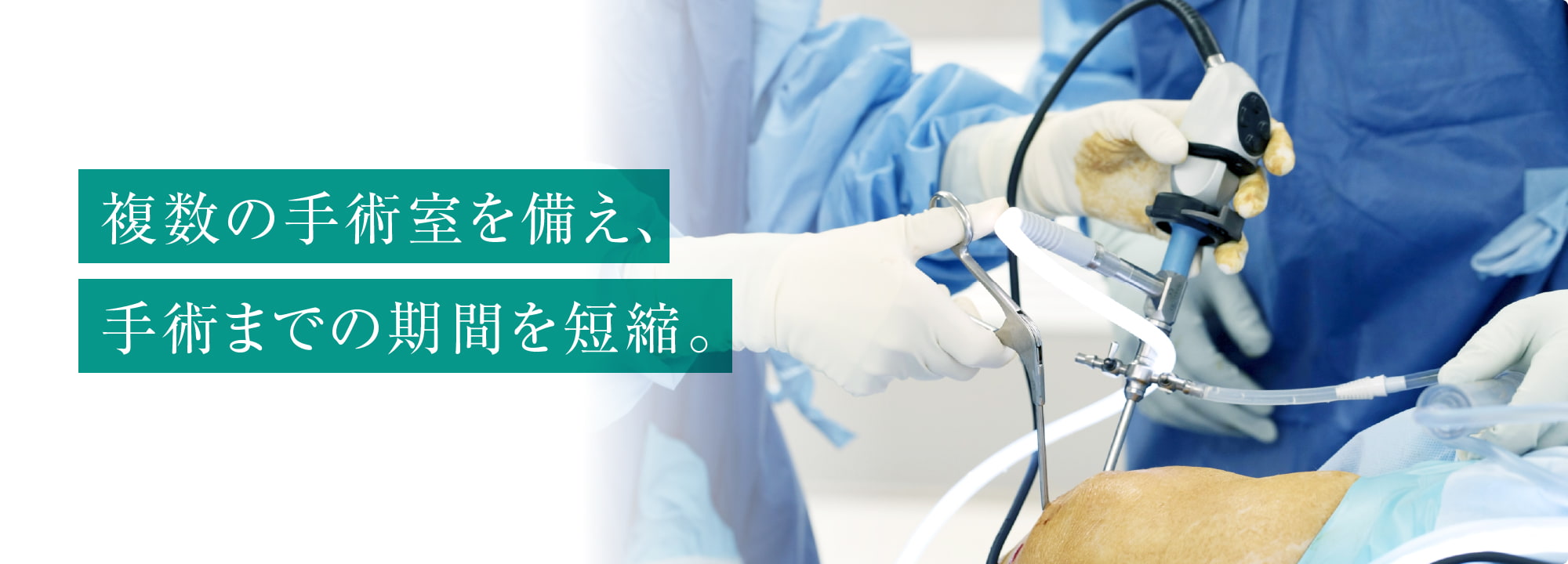 公式案内画像
