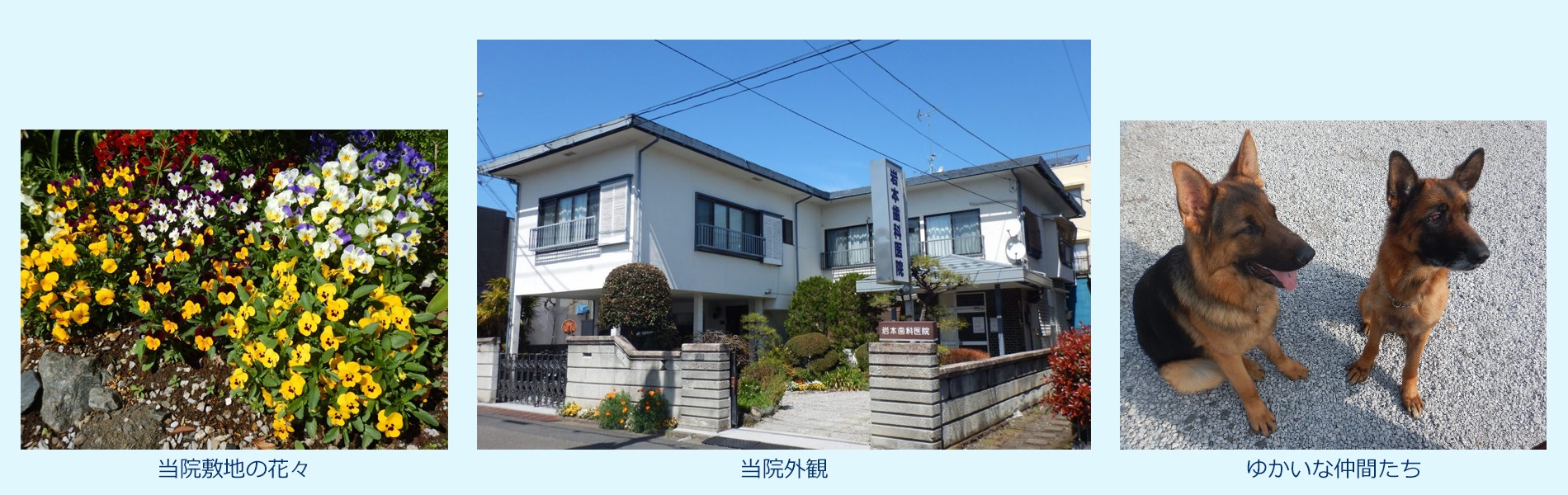 飯能 岩本歯科医院 の写真
