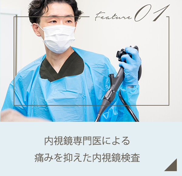 公式案内画像