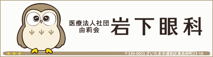 医療法人社団由莉会岩下眼科