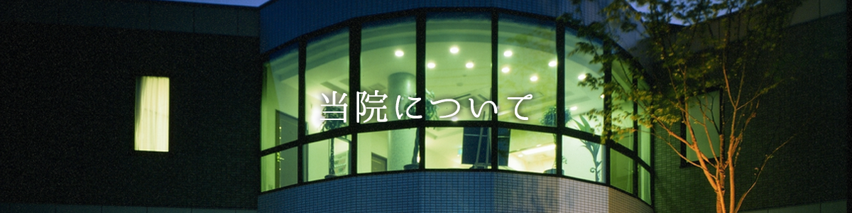 公式案内画像