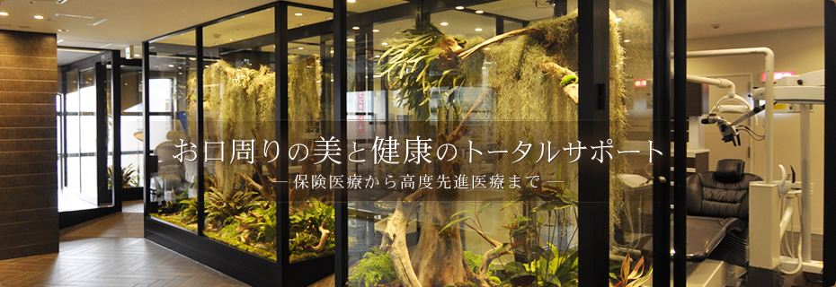 泉ステーション歯科 の写真