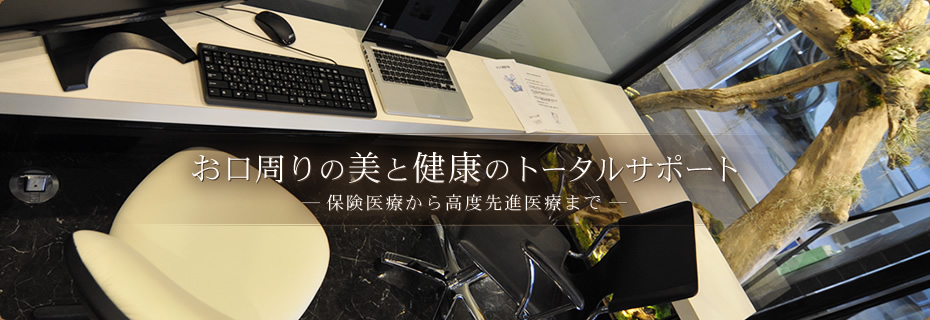 公式案内画像