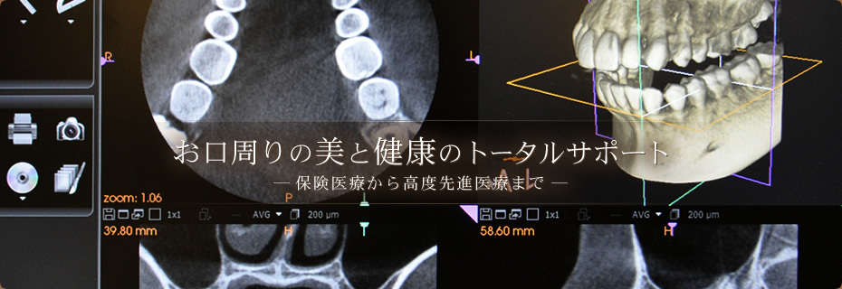 公式案内画像