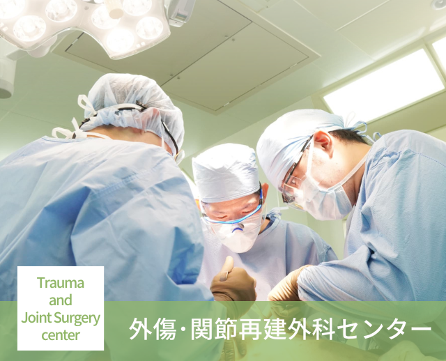 公式案内画像