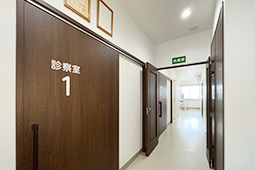 公式案内画像