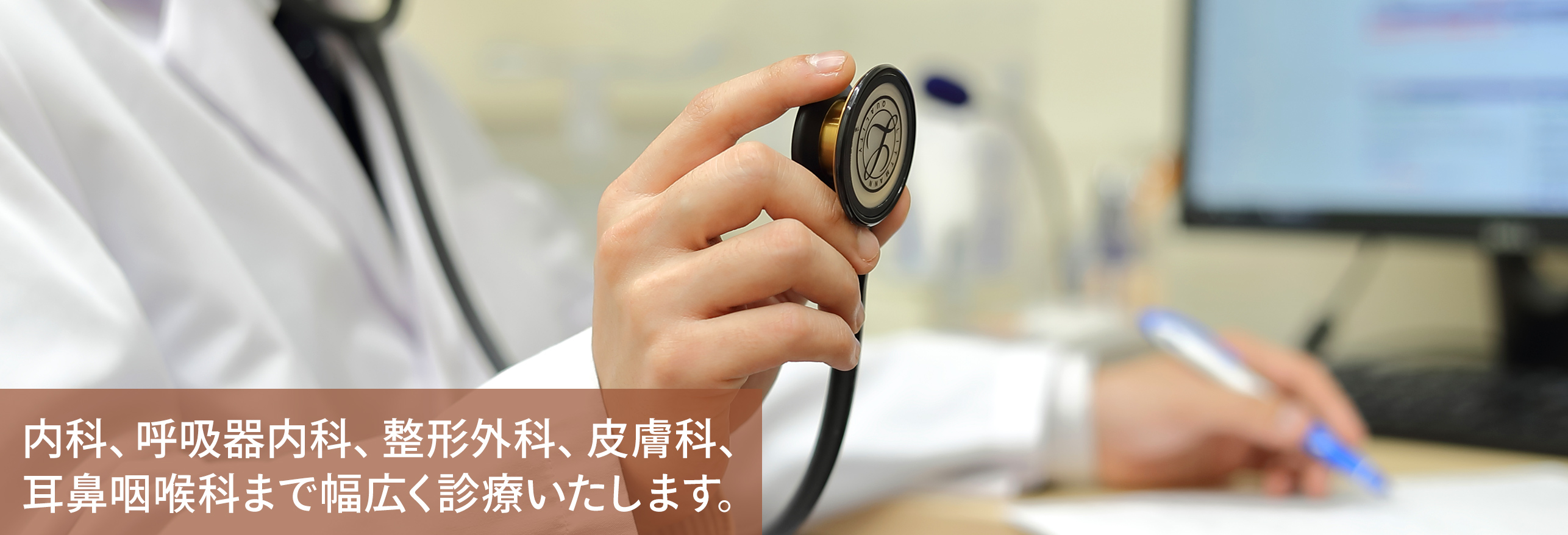 公式案内画像