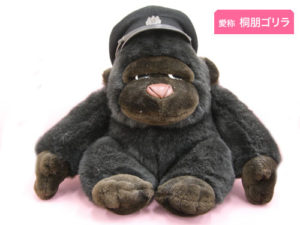 公式案内画像