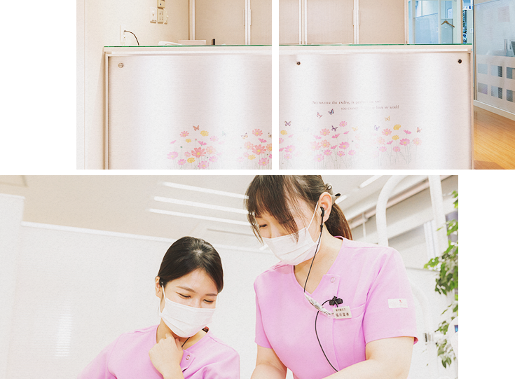 公式案内画像
