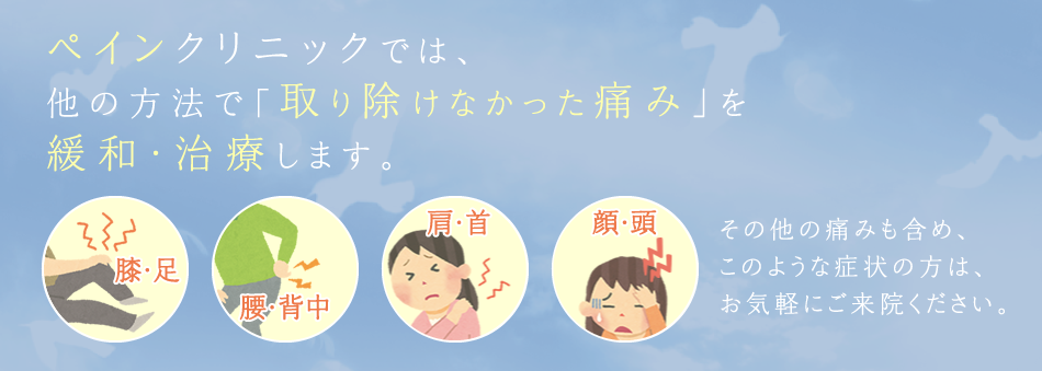 公式案内画像