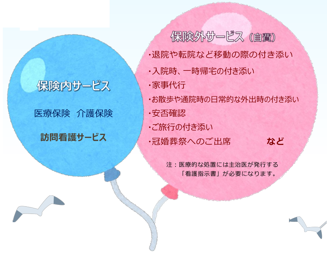 公式案内画像