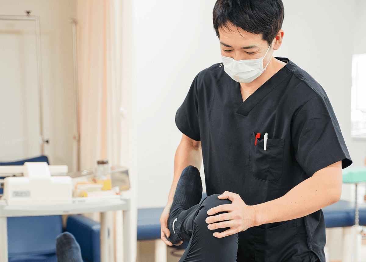 公式案内画像