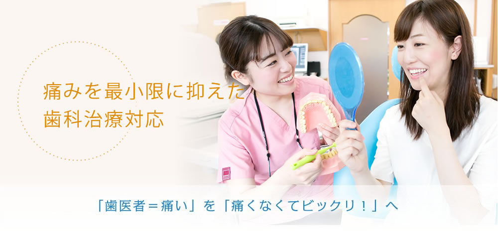 公式案内画像