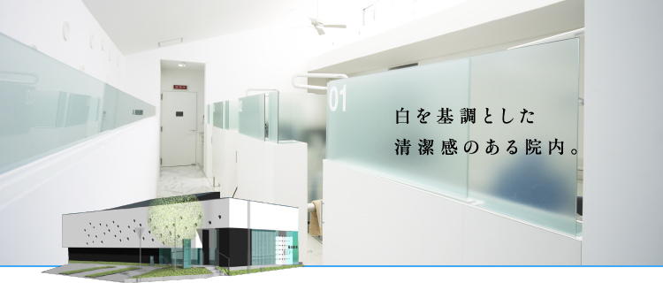 公式案内画像