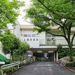 公式案内画像