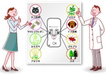 公式案内画像