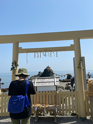 公式案内画像
