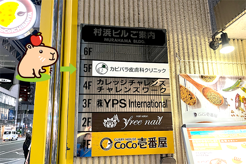公式案内画像