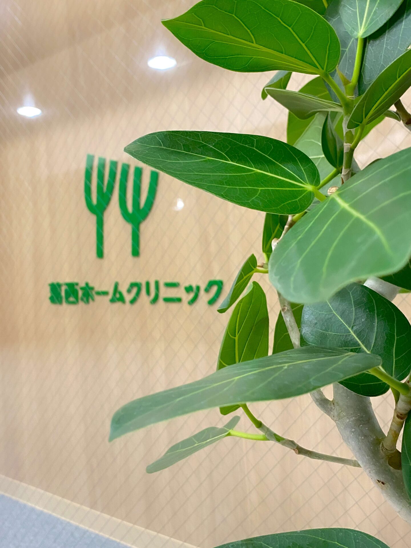 kasai-hc の写真