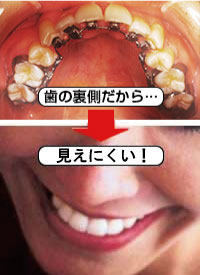 公式案内画像