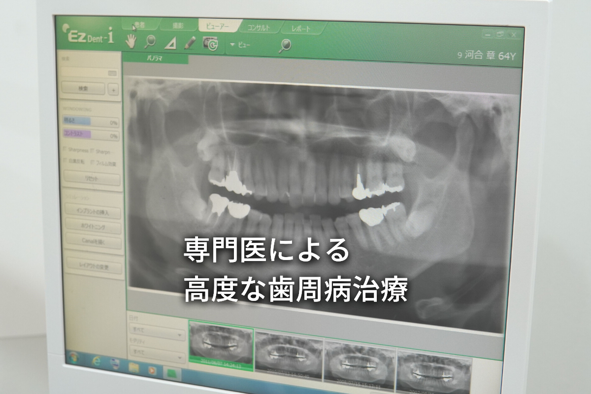 公式案内画像