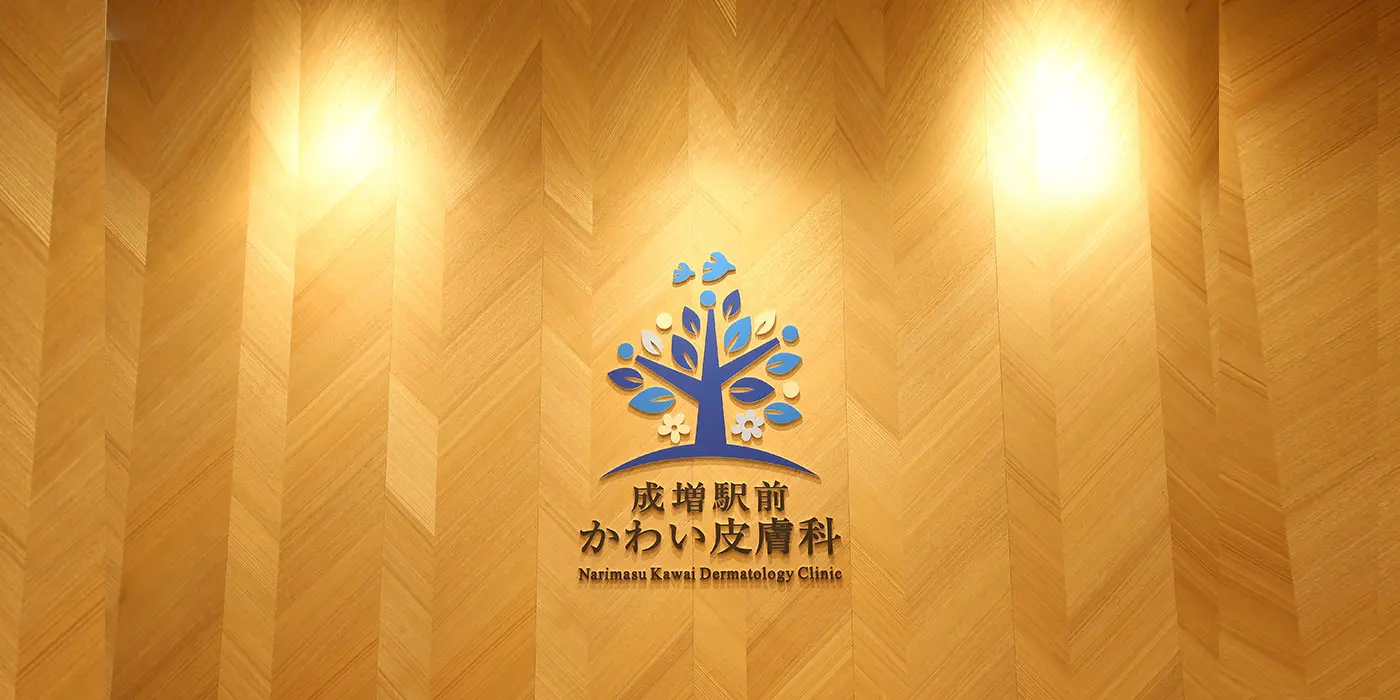 公式案内画像
