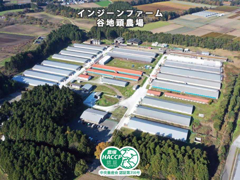 株式会社川賢 の写真