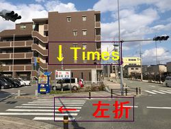 公式案内画像
