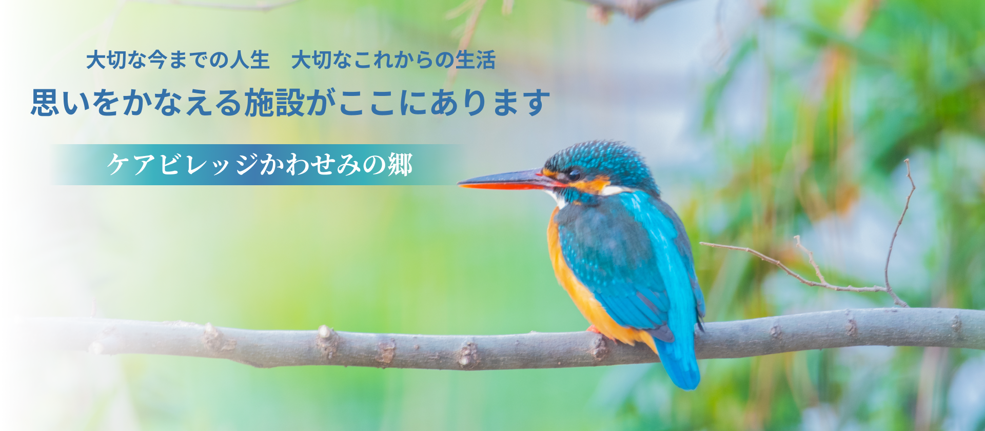 訪問看護ステーションかわせみ の写真