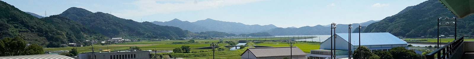 公式案内画像