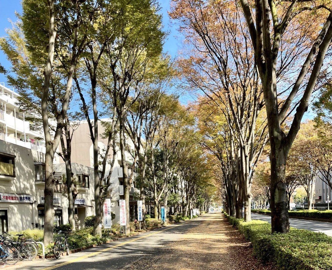 医療法人社団邦正会　けやき内科 の写真