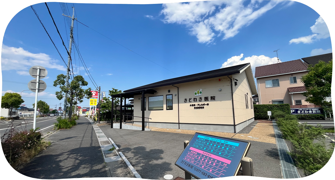 公式案内画像