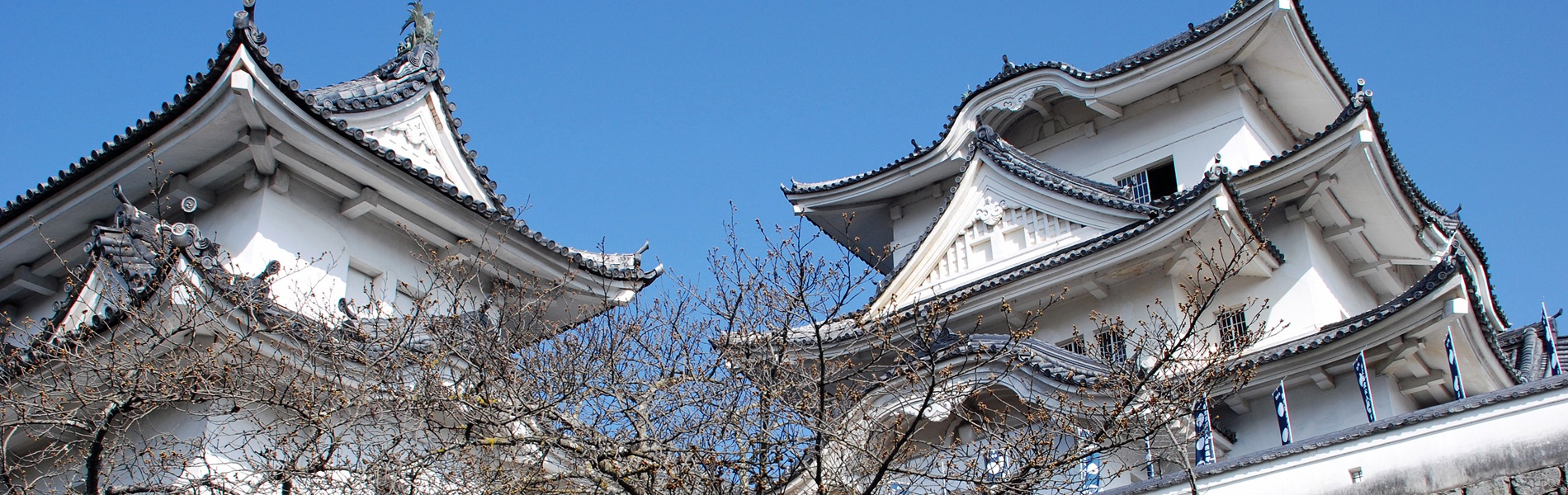 きづきの管財株式会社 の写真