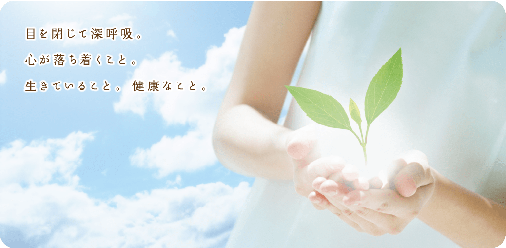 公式案内画像
