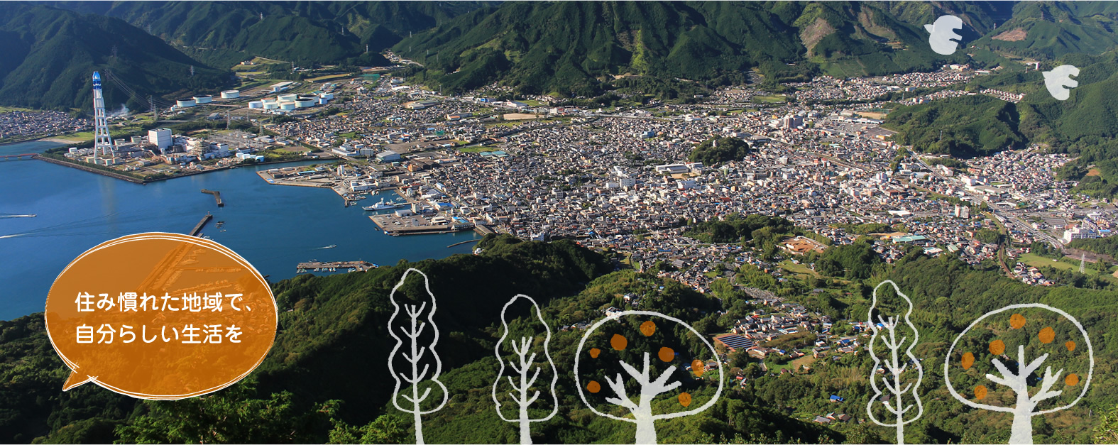 公式案内画像