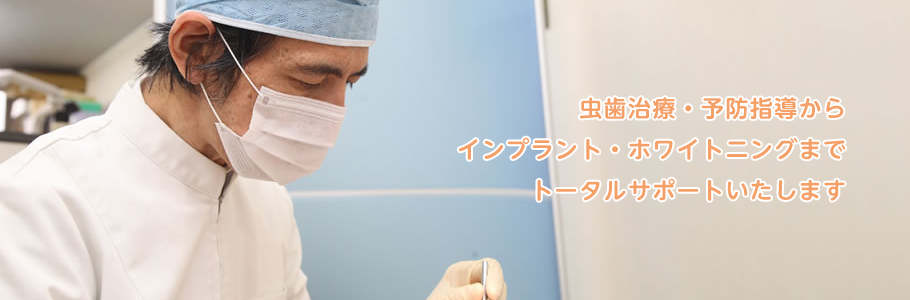 公式案内画像