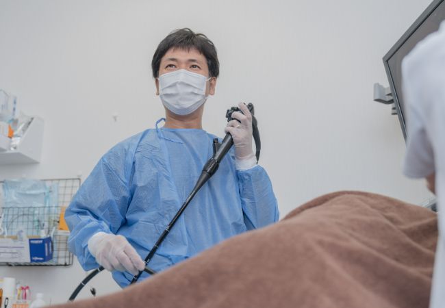公式案内画像