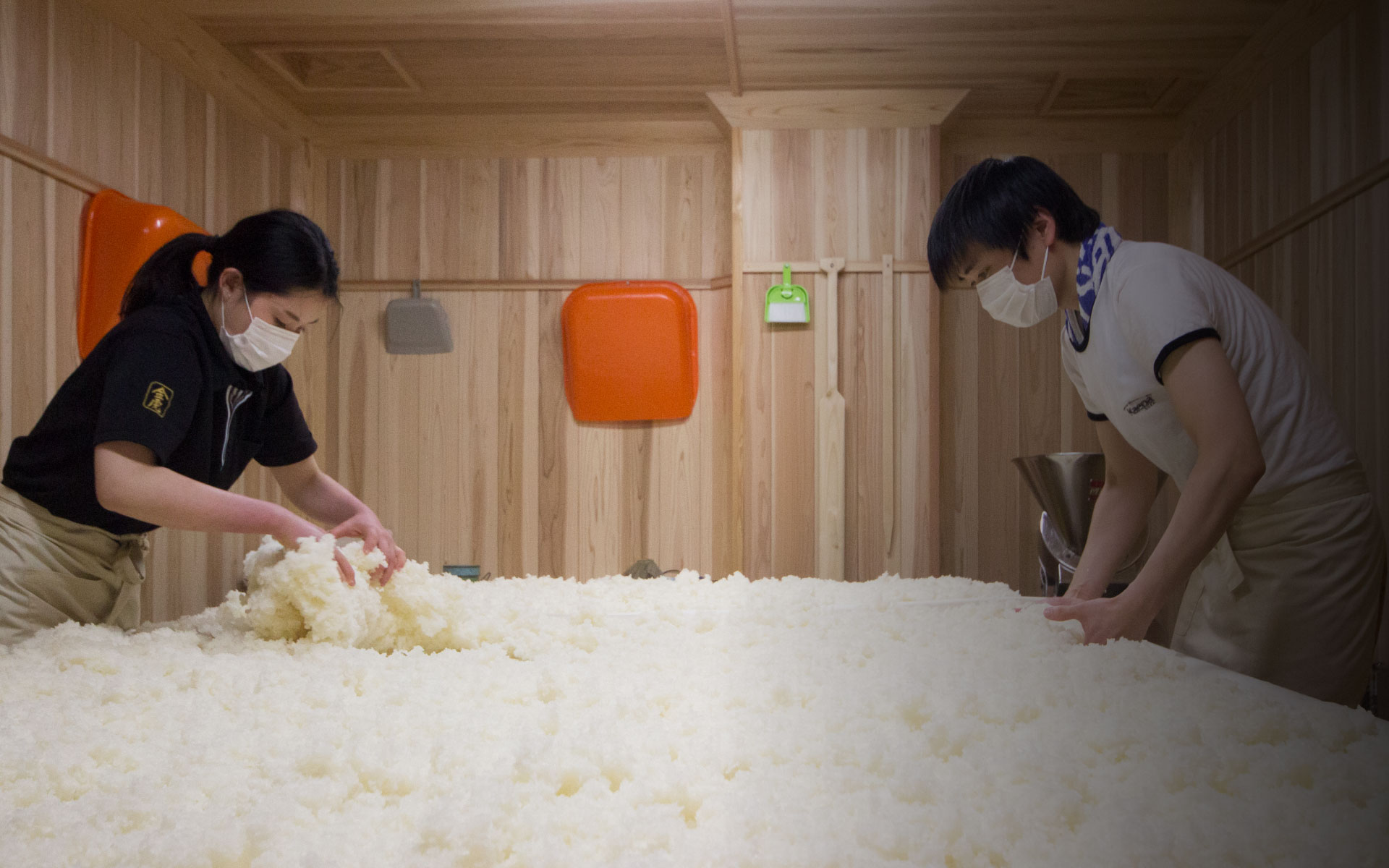 酒母を手入れする金虎酒造の蔵人