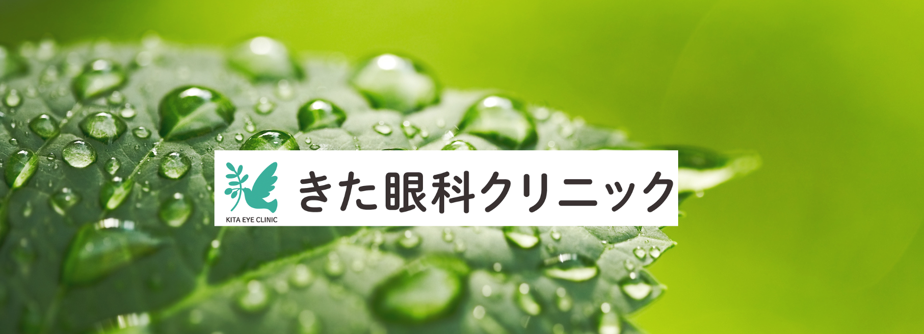 きた眼科クリニック の写真