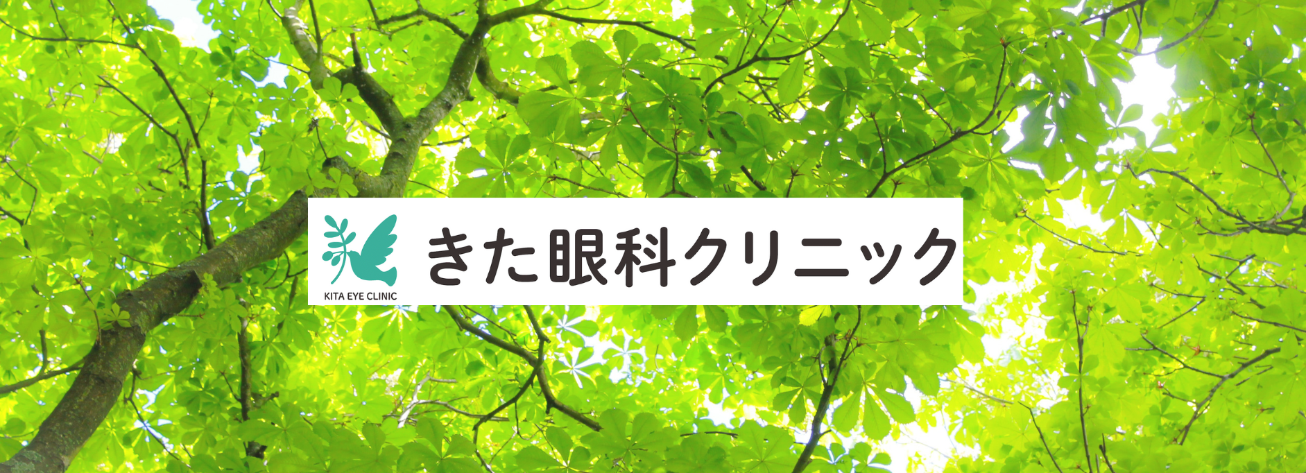 公式案内画像