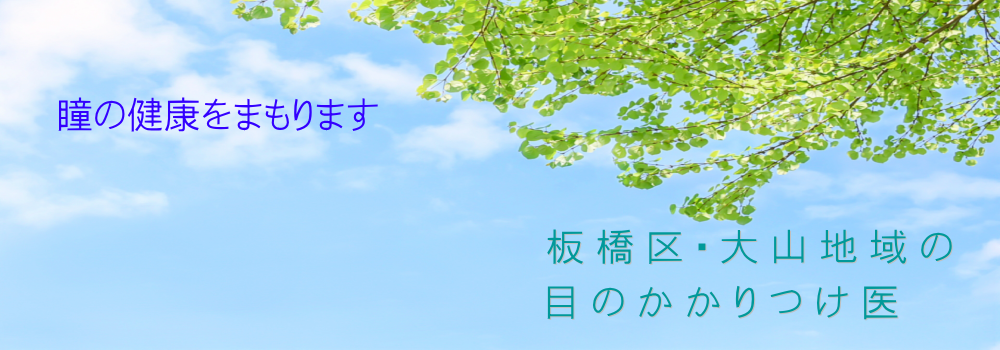公式案内画像