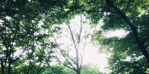 北浦和メンタルクリニック の写真