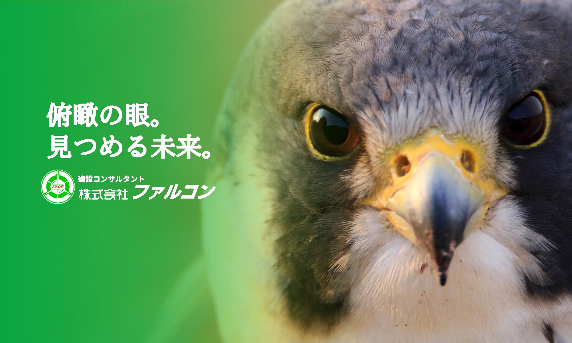 株式会社ファルコン の写真