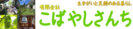 訪問看護ステーション　こばやしさんち