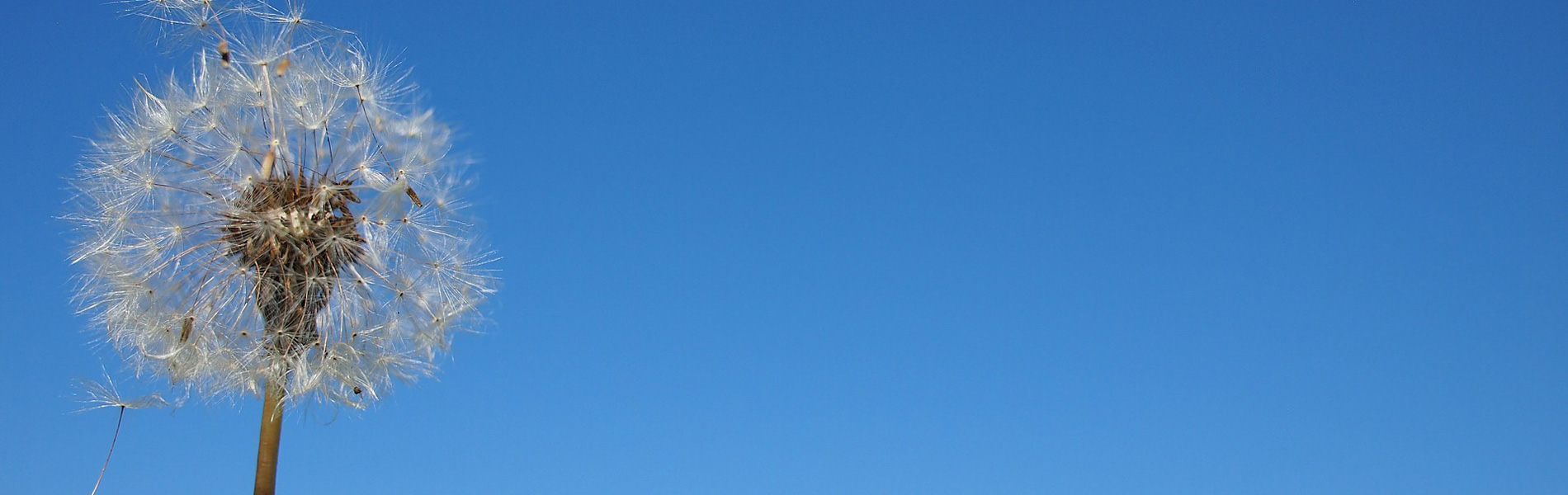 だいそう訪問看護リハビリステーション古河 の写真