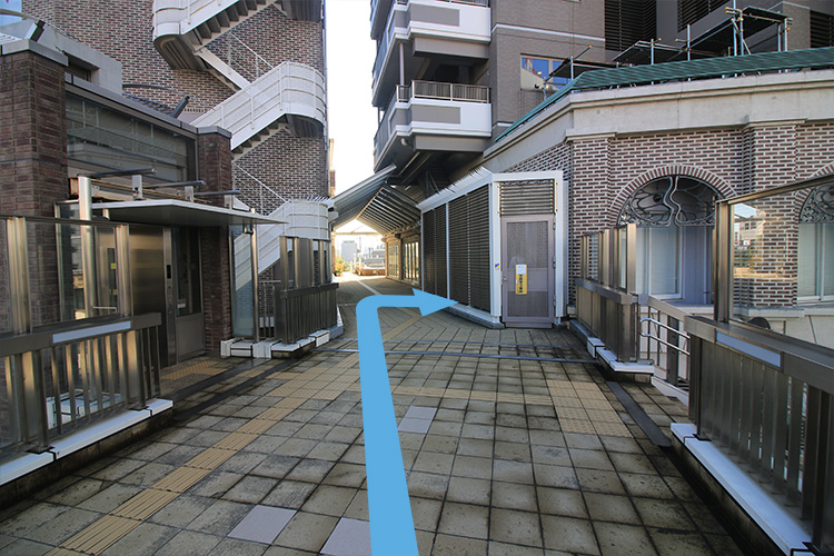 公式案内画像